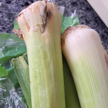 Küflü Ve Bozulmuş Ürünler Yüzünden Migros'tan Pişmanlık