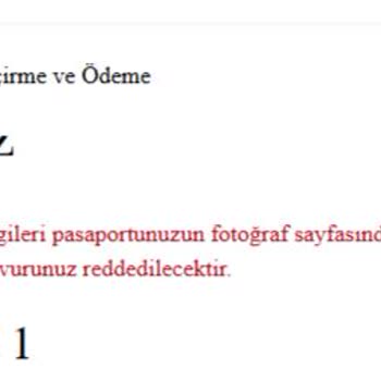 VFS Global Randevu Hatası Ve Çözüm Bulamama Sorunu