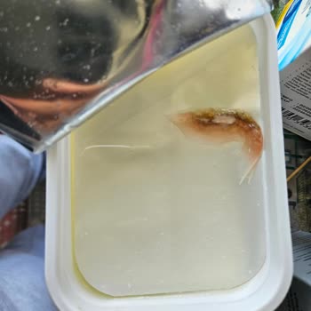 Ambalajı Kapalı Süzme Peynirden Küf Benzeri Madde Çıkması Ve İade Talebi