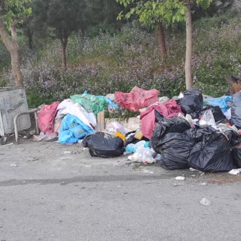 Çöp Konteyneri Etrafındaki Atıkların Toplanmaması Ve Olası Tehlike