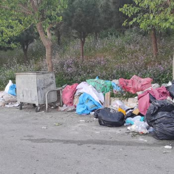 Çöp Konteyneri Etrafındaki Atıkların Toplanmaması Ve Olası Tehlike