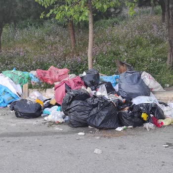 Çöp Konteyneri Etrafındaki Atıkların Toplanmaması Ve Olası Tehlike