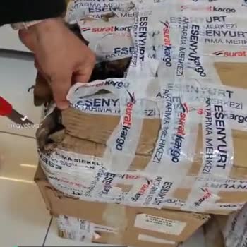 Sürat Kargo Ve İş Personelleri Şaşırtmadı Yine