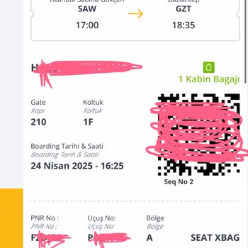 Pegasus Sold My Seat Despite Valid Ticket and Left Me Stranded with My Baby at the Airport