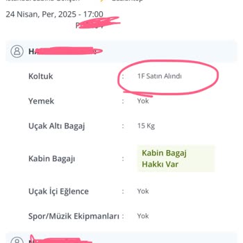 Pegasus Sold My Seat Despite Valid Ticket and Left Me Stranded with My Baby at the Airport