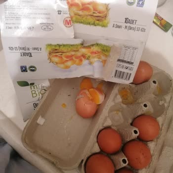 Migros'tan Sürekli Kırık Ve Çürük Yumurta Gelmesi Canımı Sıkıyor