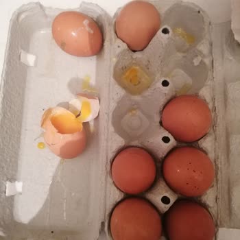 Migros'tan Sürekli Kırık Ve Çürük Yumurta Gelmesi Canımı Sıkıyor