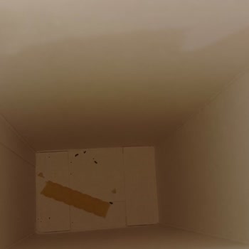 Barilla Makarna İçinden Ölü Böcek Çıkması Ve Hayal Kırıklığı