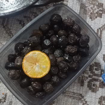 Beko Buzdolabında Koku Ve Soğutmama Sorunu, Servis İlgisizliği