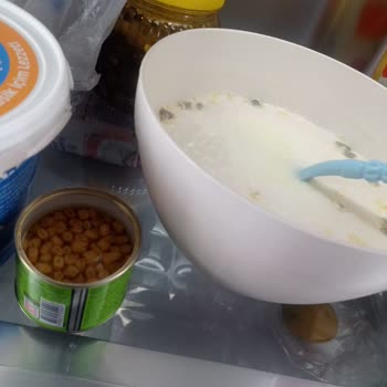 Beko Buzdolabında Koku Ve Soğutmama Sorunu, Servis İlgisizliği