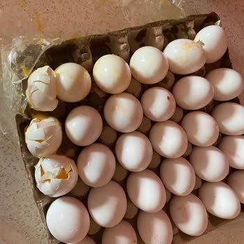 Migros Hemen Siparişimde Kırık Yumurta Ve Yanlış Ekmek Mağduriyeti