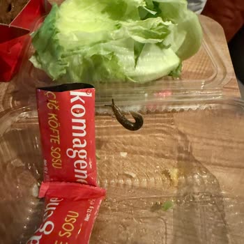 Çiğ Köfte Siparişimde Maruldan Çıkan Tehlikeli Canlı Şok Etti