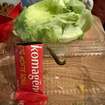 Çiğ Köfte Siparişimde Maruldan Çıkan Tehlikeli Canlı Şok Etti