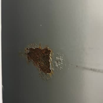 Samsung No Frost Buzdolabında Erken Paslanma Ve Garanti Sorunu