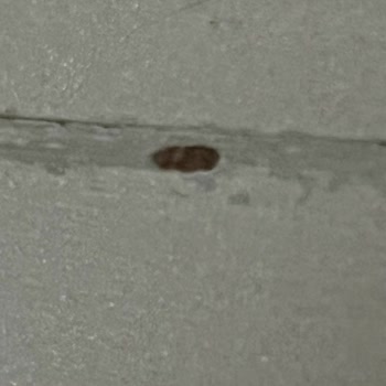 Samsung No Frost Buzdolabında Erken Paslanma Ve Garanti Sorunu