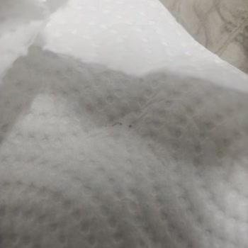 Namet Dana Salamdan Böcek Çıkması Nedeniyle Hayal Kırıklığı