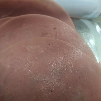 Namet Dana Salamdan Böcek Çıkması Nedeniyle Hayal Kırıklığı