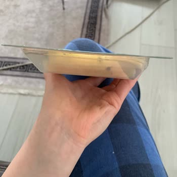 Son Kullanma Tarihi Geçmemiş Cheddar Peynirde Küf Sorunu