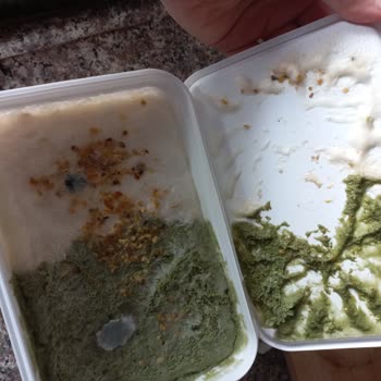 Aldığım Dondurma Küflü Çıktı, Ürün Kalitesinden Endişeliyim