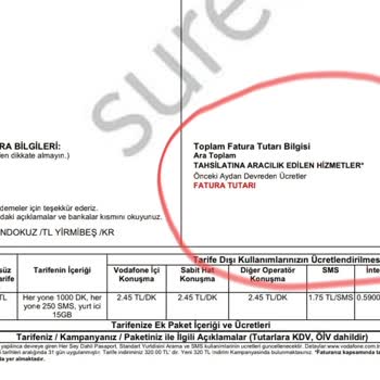 Beklenmedik Ek Ücretler Ve Yüksek Gecikme Faizi Mağduriyeti