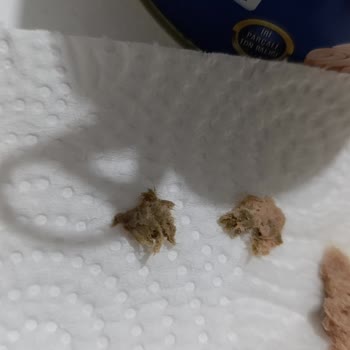 Üründe Karton Parçası Ve Kılçık Çıkması, Parti Numarası Eksikliği