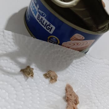 Üründe Karton Parçası Ve Kılçık Çıkması, Parti Numarası Eksikliği