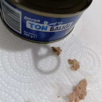 Üründe Karton Parçası Ve Kılçık Çıkması, Parti Numarası Eksikliği