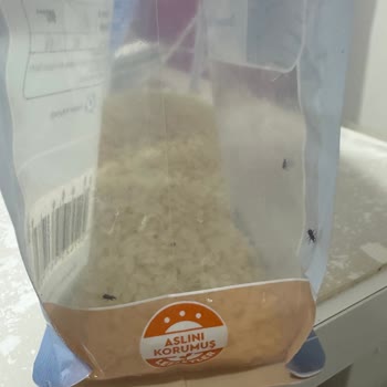 Kelebeklenme Sorunu Olmayacak Denildi, Böcek Çıktı
