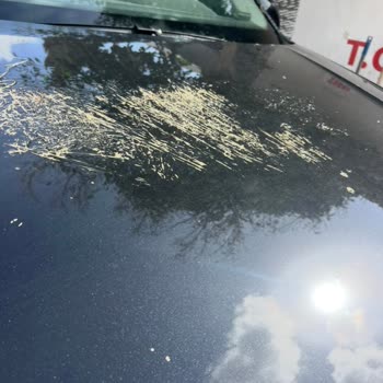 Volkswagen Aracımın Kaputundaki Çizikler Motor Isısıyla Büyüdü