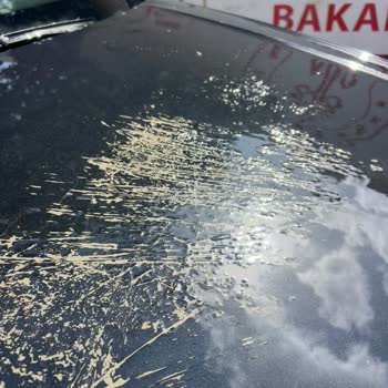 Volkswagen Aracımın Kaputundaki Çizikler Motor Isısıyla Büyüdü