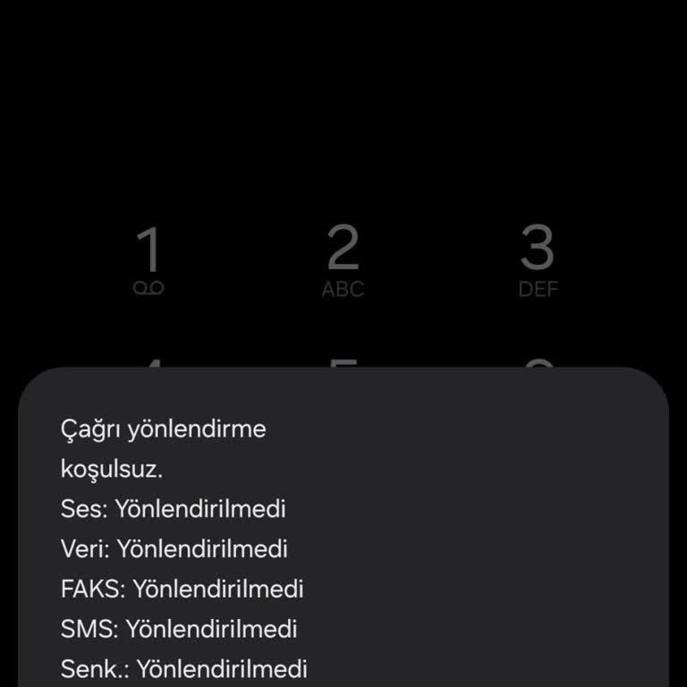 Bilgim Dışında Çağrı Yönlendirme Ve İptal Sorunu