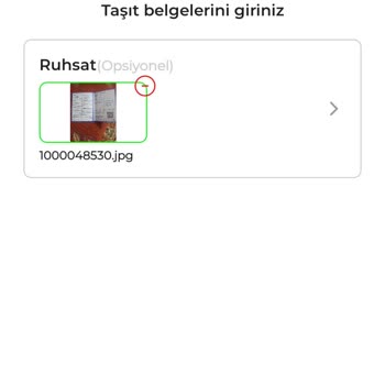 Taşıt Belgesi Yükleme Sorunu: Saatlerdir Uğraşıyorum, Sonuç Yok