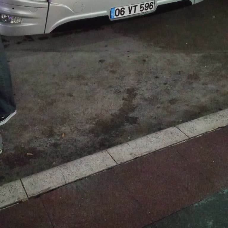 Otobüs Yolculuğunda Şoför Güvenliği Ve Yolcu Tedirginliği