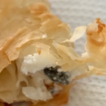 Superfresh Peynirli Rulo Börekten Küf Çıkması
