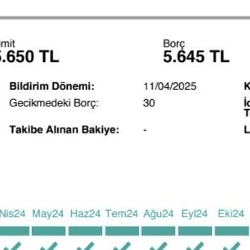 Kredi Kartı Limitim Gelirime Rağmen Artırılmıyor!