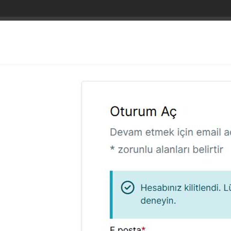 VFS Global Hesabım Kilitlendi, 10 Saattir Sisteme Giremiyorum