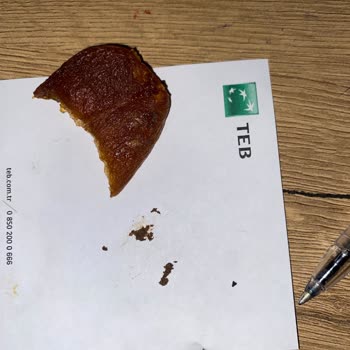 Gün Kurusu Kayısıdan Çıkan Böcek Larvası Şoku