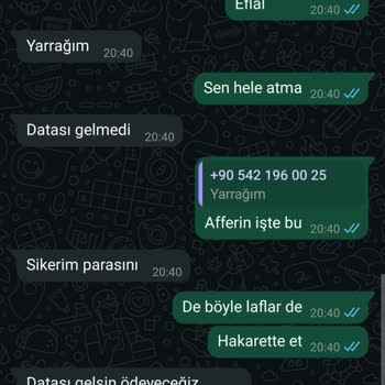 Anketörlere Ödeme Yapılmaması Ve Hakaret Sorunu
