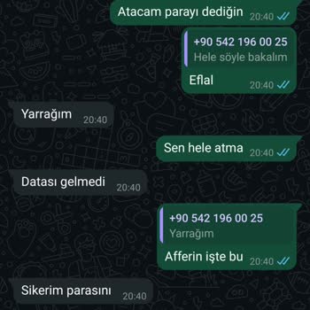 Anketörlere Ödeme Yapılmaması Ve Hakaret Sorunu