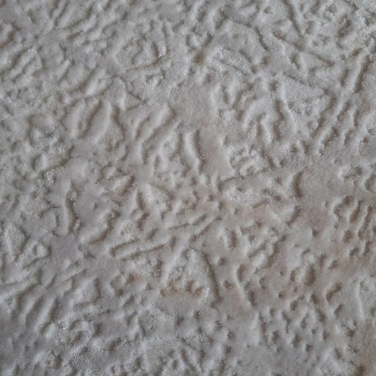 Halı Yıkama Sonrası Temizlik Ve Müşteri Hizmeti Sorunu