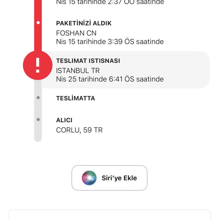 Fedex Gümrük Ödemesi Yapıldığı Halde Kargo Teslim Edilmiyor