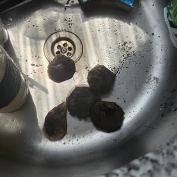 Lipton Poşet Çayların Sürekli Patlaması Keyfimizi Kaçırıyor