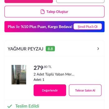 Siparişimdeki Fide Boyutu Yanıltıcı Çıktı, Sorunum Çözülmedi