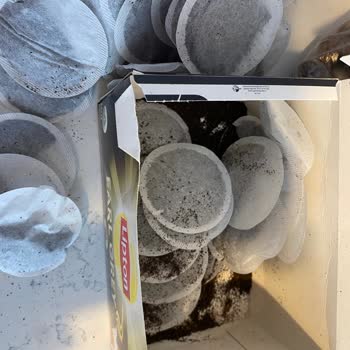 Yırtık Ve Dökülmüş Çay Poşetleriyle Gelen Sipariş