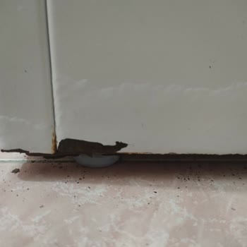 Bosch Çamaşır Makinesinde Paslanma Ve Müşteri Hizmetlerinde Hayal Kırıklığı