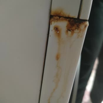 Bosch Damaged My Trust After Rust Problems With My Washing Machine