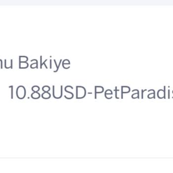 Adres Değişikliği Mesajı İle Hesabımdan İzinsiz Para Çekildi