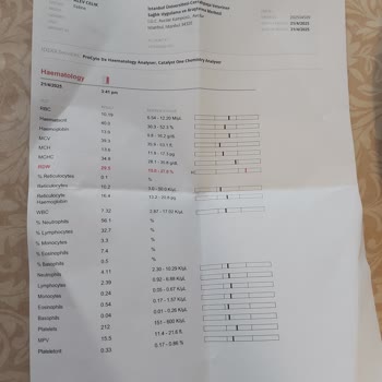 Sağlıklı Kedim Ameliyat Sonrası Hayatını Kaybetti