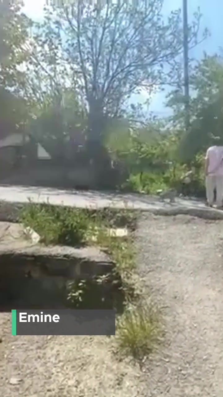 Sultangazi Belediyesi Yol Yardımı Bekliyoruz! videonun kapak resmi