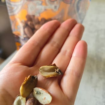 Aldığım Fıstıklar Küflü Ve Kurtluydu